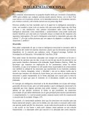 El papel de la inteligencia emocional y como nos ayudaría a tener éxito