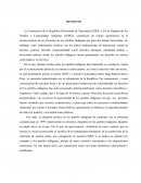 La Contitucion y los pueblos Indigenas