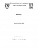 Administración por excepción