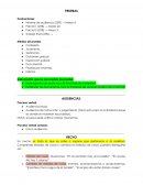 PROCESAL PRUEBAS NOTAS