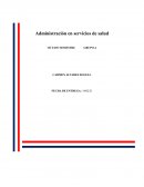 Resumen de administracion en los servicios de salud