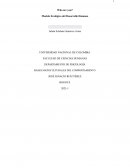 Who are you? Modelo Ecológico del Desarrollo Humano