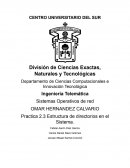 Estructura de directorios en el Sistema