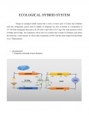 ECOLOGICAL HYBRID SYSTEM