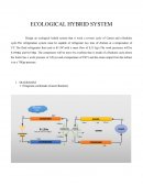 ECOLOGICAL HYBRID SYSTEM