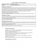 Actividades de educación física