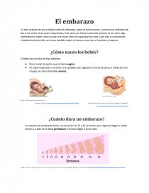 El embarazo ¿Cómo nacen los bebés?. Página 1