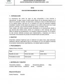 GUIA DE PROCESAMIENTO DE PAPA