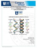 Bioquimica. Componentes moleculares de las celulas