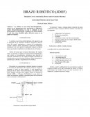 BRAZO ROBÓTICO (4DOF)