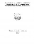 EVALUACIÓN DE ASPECTOS E IMPACTOS AMBIENTALES DE LA LAVANDERÍA Y TINTORERIA DONDE FIDEL DE BARANOA