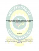 Redes horizontales y verticales