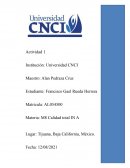 Calidad Total Actividad 1 CNCI