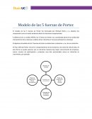 MODELO 5 FUERZAS COMPETITIVAS DE PORTER