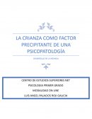 La crianza como factor precipitante de una psicopatologia