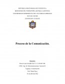 Proceso de la comunicación