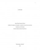 Publicidad. Estrategias publicitarias