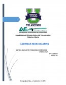 Cadenas Musculares