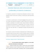 Actividad: Opiniones sobre la formación del profesorado y la inserción a la docencia