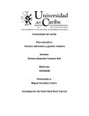 Investigación del Hotel Hard Rock Cancún