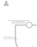 Función y Estrategia de Operaciones