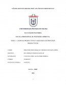 CADENAS PRODUCTIVAS Y ESQUEMAS DE PROCESOS PRODUCTIVOS