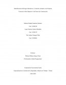 Identificación de Riesgos Mecánicos y Controles Actuales en la Empresa