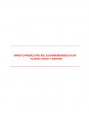 Impacto productivo de las Enfermedades en un plantel ovino y caprino