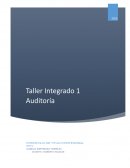 Modelo Portafolio Auditoria “ALLIPEN S.A”