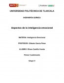 Aspectos de la inteligencia emocional