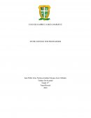 PROPUESTA PARA BRINDAR AYUDA A LOS JOVENES CON DIFICULTADES EMOCIONALES Y OFRECERLES UN ACOMPAÑAMIENTO EN SU DIFICIL SITUACION