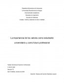 La importancia de los valores como estudiante universitario y como futuro profesional