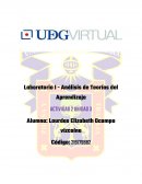 Análisis de Teorías del Aprendizaje