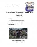 La pérdida de sensibilidad y respeto hacia los animales en Bolivia