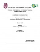 Actividad de clase, diseño por Cuadrado Latino