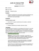 Secuencia: Experimentamos!