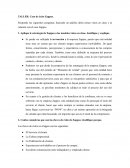 TALLER: Caso de éxito Zappos