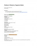 Práctica 4. Ósmosis y Turgencia Celular