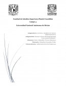 Ensayo Una mente brillante