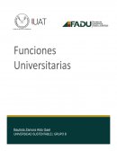 Funciones univrsitarias