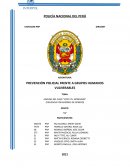 ANÁLISIS DEL CASO “VICKY VS. HONDURAS” (VIOLENCIA POR RAZONES DE GÉNERO)