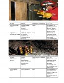 Probabilidad y severidad