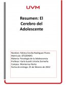 El cerebro del adolescente