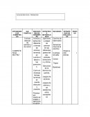 PLAN DE ESTUDIO EDUFISICA PRIMARIA