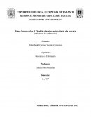 Ensayo sobre el “Modelo educativo universitario y la práctica profesional de enfermería”