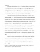 Trabajo sobre escala de Baber