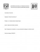 Teología de la Liberación, un nuevo pensamiento teológico en América Latina