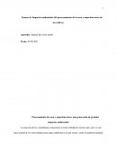 Ensayo de Impacto ambiental en procesamiento de coca