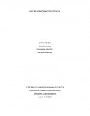 Analisis de sistema de informacion COLFOPLAS S.A