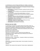 METODOLOGIA DEL DISEÑO